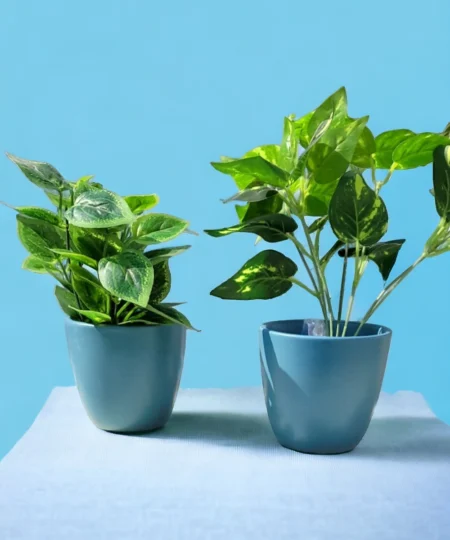 ceramic pot for miniature