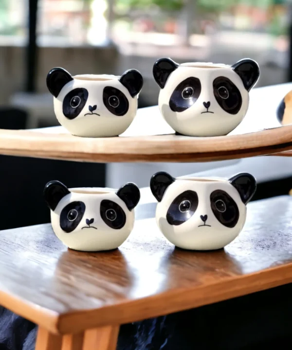 panda miniature | succulant pot