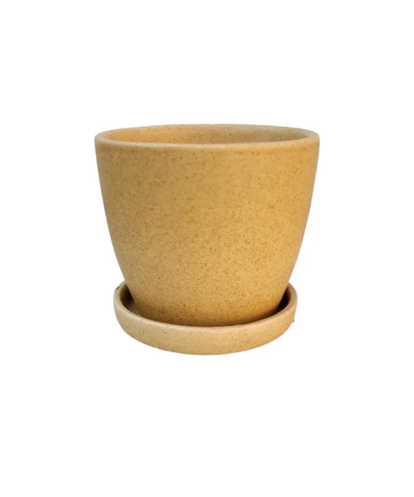 ceramic pot with tray