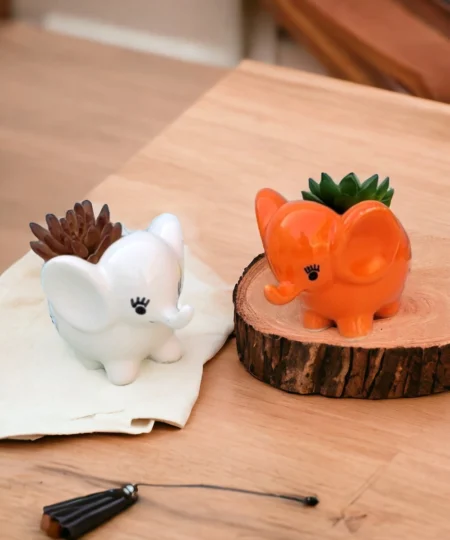 ceramic pot for succulants, set of 2