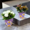 painted ceramic pot for home gardening