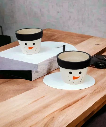 smiley ceramic pot for home gardening