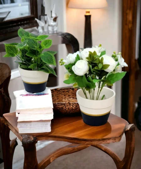 b & w painted ceramic pot for home gardening