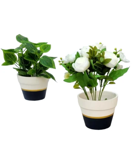 b & w painted ceramic pot for home gardening