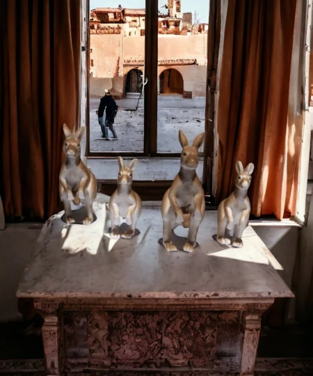 img_20240314_125603_221