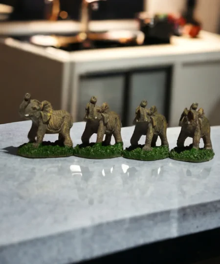 img_20240315_120648_291