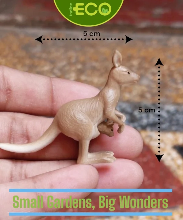 miniature-kangaroo