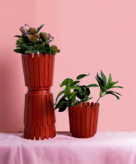 photoroom-20240305_161220