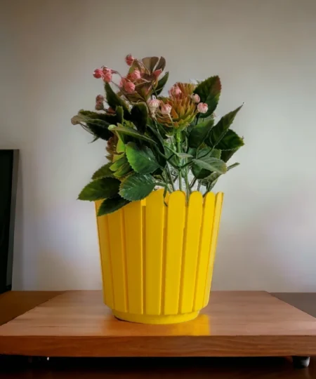 photoroom-20240305_182538