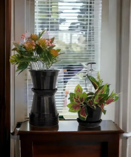 photoroom-20240305_183652