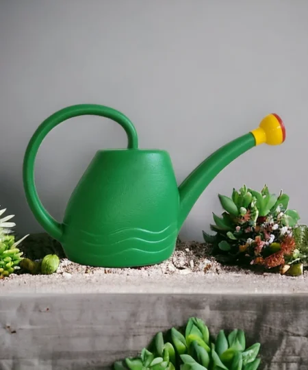 photoroom-20240305_192546