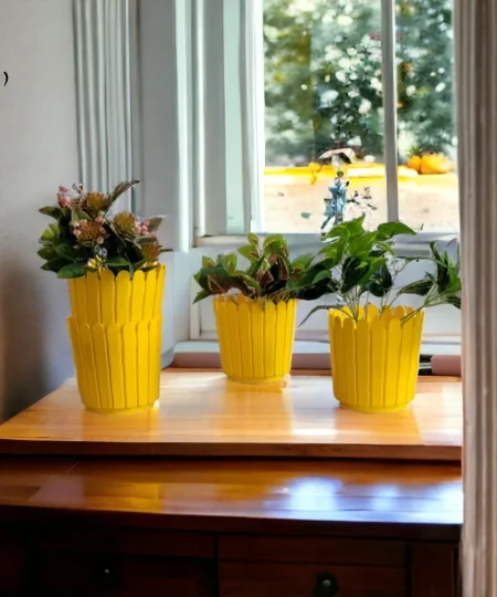 photoroom-20240305_192821