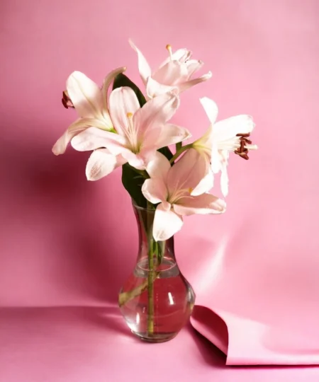 screenshot_20240311_115719_samsung-internet