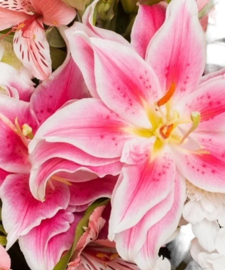 gorgeous-arrangement-flowers-background_23-2149057033